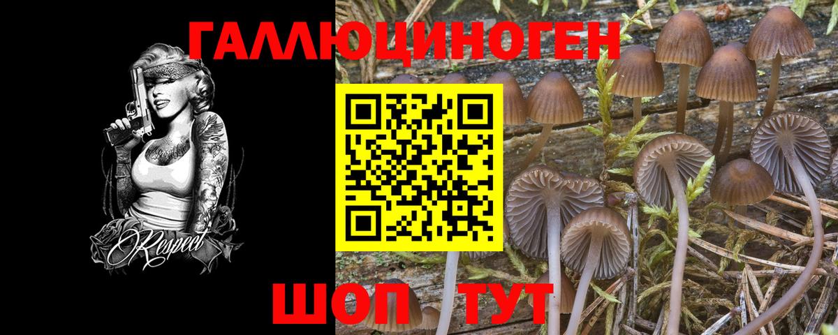 Галлюциногенные грибы Psilocybine cubensis  Псилоцибиновые грибы GOLDEN TEACHER  Вход с VPN  Кандалакша 