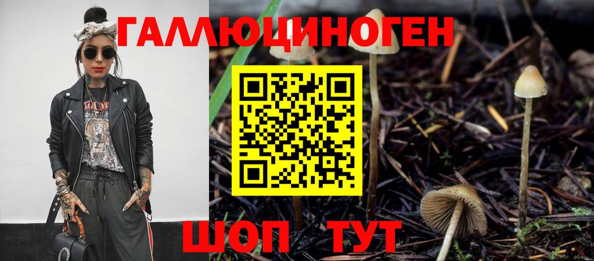 Галлюциногенные грибы прущие грибы Кандалакша