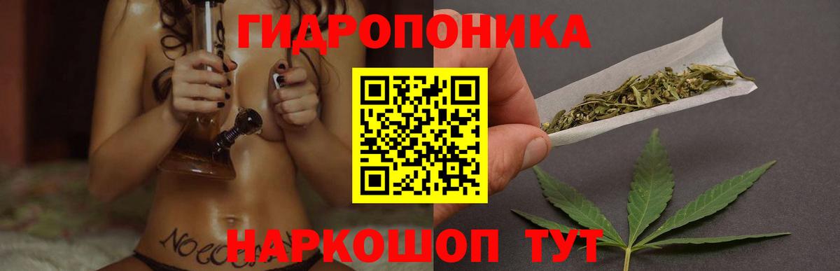 Бошки марихуана Ganja  Бошки марихуана MAZAR  Вход с VPN  Кандалакша  МАРИХУАНА AK-47  Марихуана MAZAR 